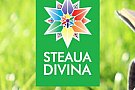Raphael Medica - Steaua Divina