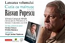 Cutia cu maimute - Jurnal de Rasvan Popescu