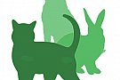 ambulanta veterinara bucuresti Ambulanta veterinara non stop in Bucuresti