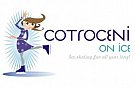 Cotroceni on Ice