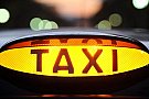 Flamingo Taxi