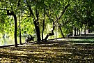 Parcul Cismigiu