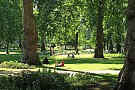 Parcul Copilului