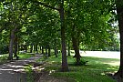 Parcul Crangasi