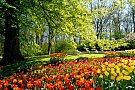 Parcul Florilor