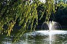 Parcul Morarilor