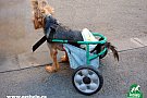 Pet Help