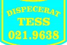 Tess Taxi
