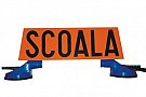 Scoala de soferi - instructor calm