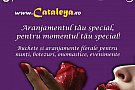 Floraria Cataleya