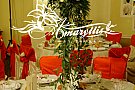 Amaryllis By Laura