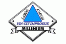 Centrul de Pregatire Financiara Millenium