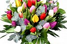 City Flowers Bucuresti