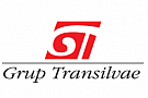 Grup Transilvae