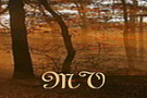 Editura Mica Valahie Bucuresti
