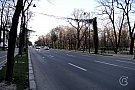 Soseaua Kiseleff