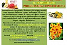 TARG DE FLORII SI DE PASTE, PARCUL LUMEA COPIILOR, 11-19 APRILIE 2014, SECTOR 4, BUCURESTI