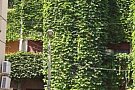 ofer la vanzare apartament