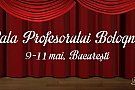 Galei Profesorului Bologna