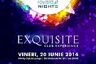EXQUISITE by Royal Dot