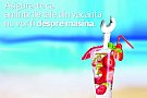 Cum sa ai o vacanta fara griji!