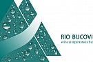 Rio Bucovina