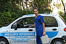 Veterinary Westernvet