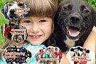 Ziua iubitorilor de animale: adoptam, invatam, impreuna ne distram!