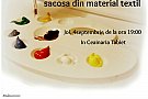 Atelier de pictura pe sacosa din material textil