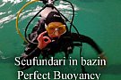 Ion Buncea's Diving School