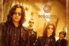 Concert Bosquito la Cinema Patria