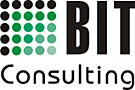 BIT Consulting Pro