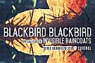 Blackbird Blackbird