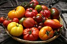 VAND SEMINTE LEGUME TRADITIONALE ROMANESTI SI ALTE TARI