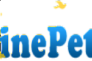rob shop online bucuresti Rob Shop Online