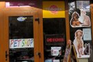 Universal Pet Shop