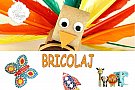 Bricolaj la Clubul de Muzica.ro
