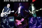 bragadiru Concert Directia 5