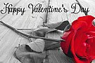 Happy Valentine's Day