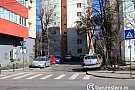 Aleea Teiul Doamnei
