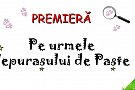 Pe urmele Iepurasului de Paste