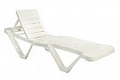 Sezlong pentru piscina Master