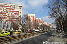 Soseaua Alexandria
