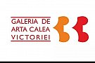 Noaptea albă a Galeriilor de Artă #9 la Galeria Calea Victoriei 33