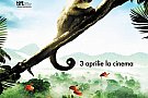 Amazonia: Planeta Verde