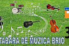 Tabara de Muzica BRIO