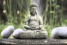 O Zi de Relaxare: Yoga, Creativitate si Mindfulness
