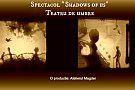 Spectacol “Shadows of us”