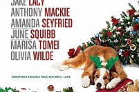 love the coopers Haos de Craciun