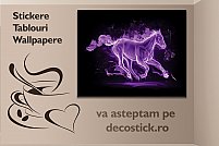 Decostick.ro - Solutii de design interior pentru toate buzunarele